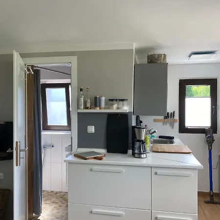 Tatil Evi Uferblick Am See Mit Steg & Kajak - Abc299